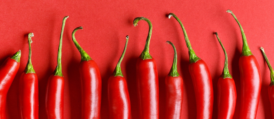 Neue Erkenntnisse zeigen, wie der Chili-Pfeffer-Wirkstoff Capsaicin Schmerzen lindert