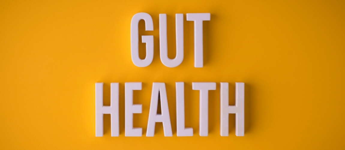 Scientists Probe New Link Between Gut Health and Chronic Disease